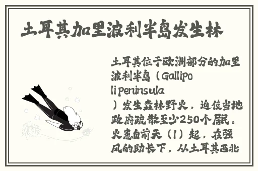 91天美果冻